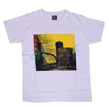 Picture of Men Printed T-Shirt (MTS01)