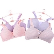 Picture of Raj Fashion Soft Padded Bra (2003)