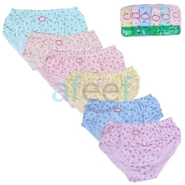 Picture of Women Panty Briefs Set of 6 Pieces (P06)  Assorted Design (Made In Philipines)