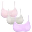 Picture of Teenage Bra Soft Padded Free Size (206)