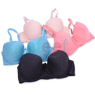 Picture of Raj Fashion Soft Padded Bra (999)