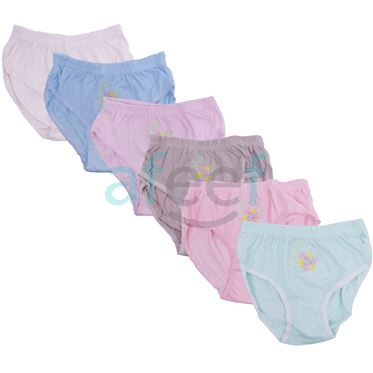 Picture of Women Panty Briefs Set of 6 Pieces (NRE175) Assorted colors Made In indonesia