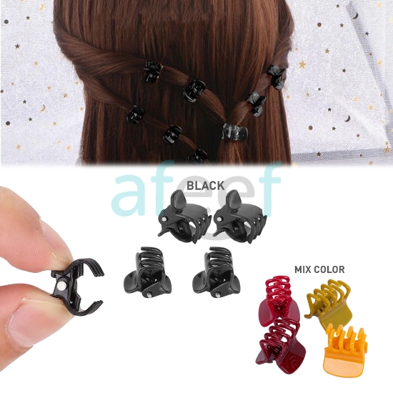 Picture of mini plastic hair clips set of 12 pieces (HA13)