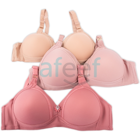 Picture of Raj Fashion Soft Padded Bra Non-Wired (339) 