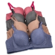 Picture of Raj Fashion Soft Padded Bra with Wired (B666) 