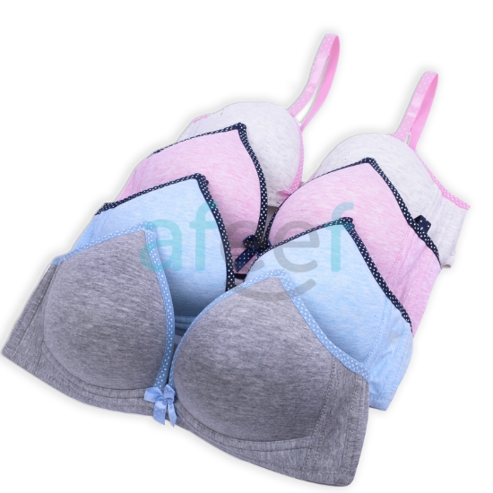Picture of Raj Fashion Soft Padded Bra Non-Wired (669)
