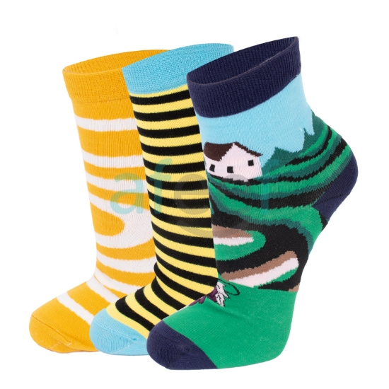Picture of Women Socks Set of 3 pair Assorted Design (FS08) 