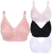 Picture of Raj Bra C-Cup Regular Non-Padded Non-Wired (219) Jumbo