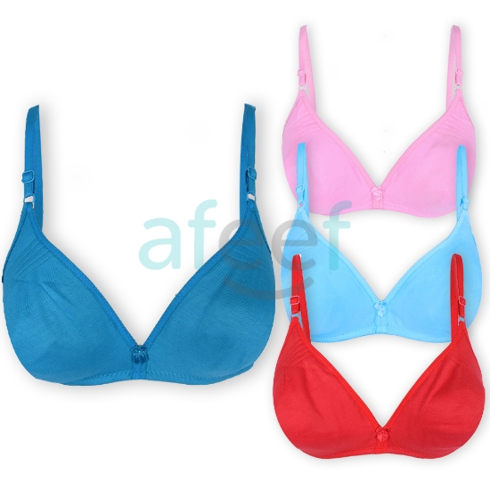Picture of Bra Regular Non-Padded Non-Wired (IND534)