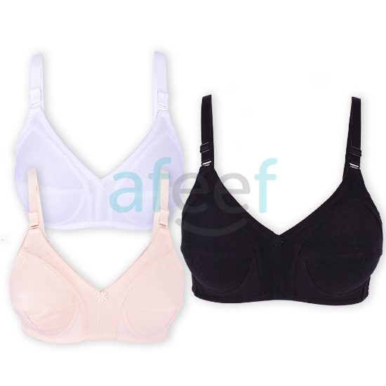 Picture of Bra Regular Non-Padded Non-Wired (IND 552)