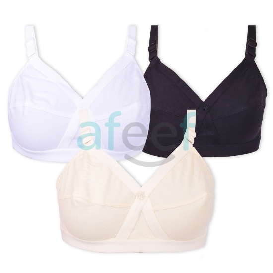 Picture of Raj Fashion Bra Regular C-Cup Non-Padded Non-Wired (IND-528)