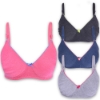 Picture of Raj Fashion Bra Regular Non-Padded Non-Wired (IND505)
