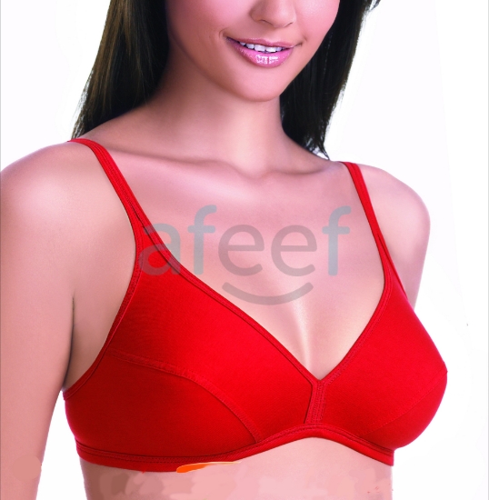 Picture of Raj Fashion Bra Regular Non-Padded Non-Wired (IND506)