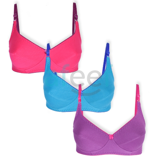 Picture of Raj Fashion Bra Regular Non-Padded Non-Wired (IND 503)