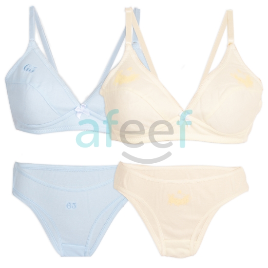 Picture of Bra & Panty Set OF Assorted Colors  (13718S)