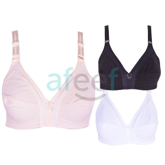 Picture of  Raj Bra Regular Non-Padded Non-Wired (186) 