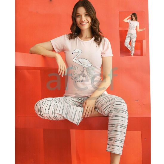 Picture of Women Half Sleeves Pajama Set Made In Turkey (8246) 