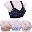 Picture of Raj Fashion Bra Padded Cotton Printed (607)