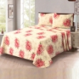 Picture of Single Fitted Printed Bed Sheet With 1 Pillow Cover (SBF108)  