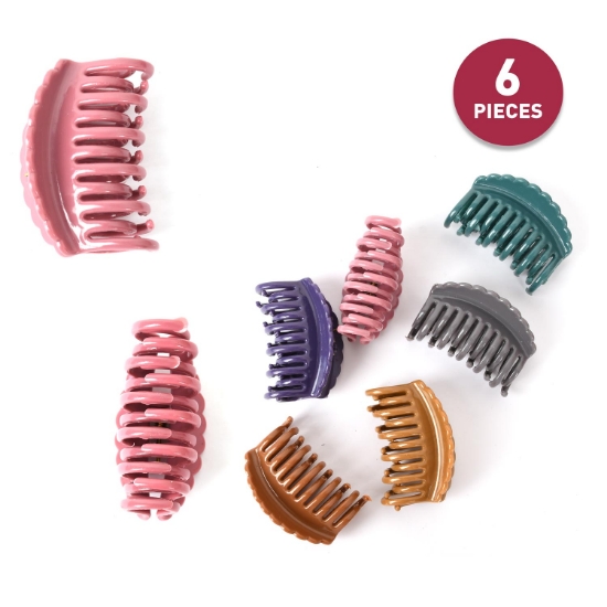 Picture of Classic Claw Clamp Clip For Women Set of 6 pcs (HA43) 