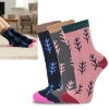 Picture of Design Winter Socks Set of 3 Pairs DWS8