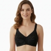 Picture of Bra Regular Non-Padded Non-Wired (227)