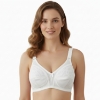 Picture of Bra Regular Non-Padded Non-Wired (227)